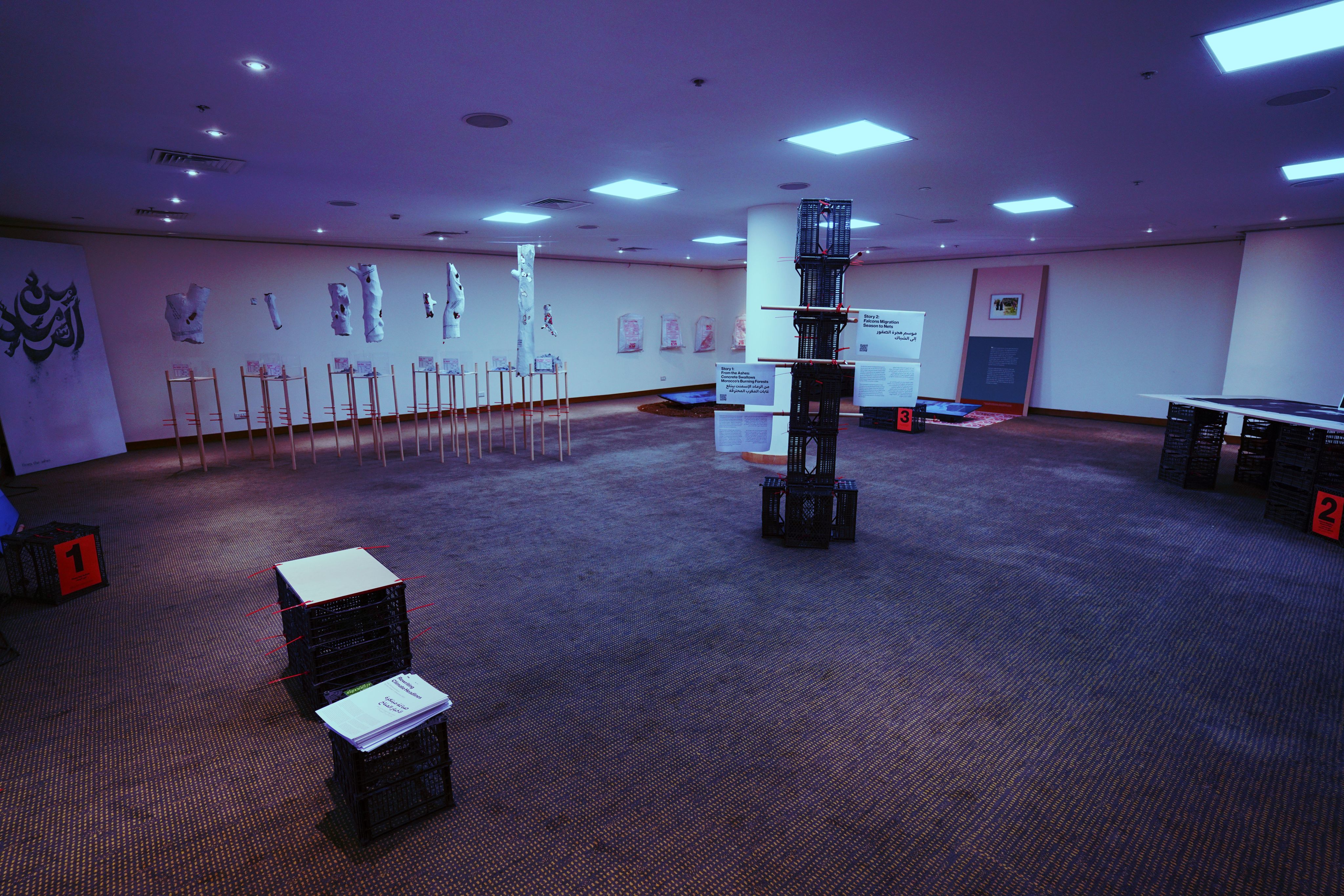 Cover image for Exhibitions and Meetings